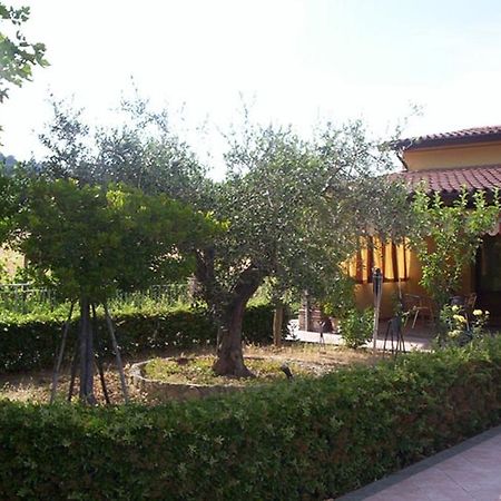 Vila Agriturismo 7 Colonne Bertinoro Exteriér fotografie