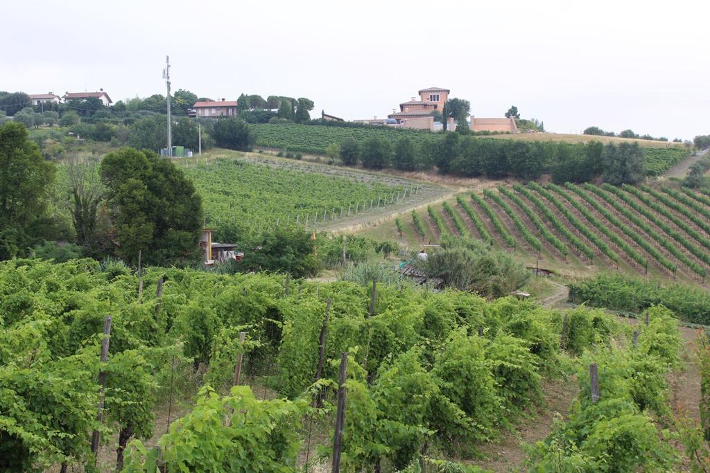Vila Agriturismo 7 Colonne Bertinoro Exteriér fotografie